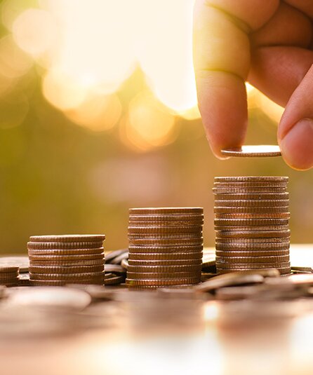 PRIVATE WEALTH FUND ASI